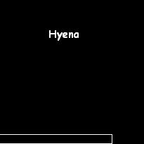 Clan Leader - Hyena - Clanuri