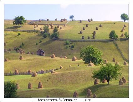 Suceava - Meleagurile Sucevei-Poiana Micului - Poze din orasul tau