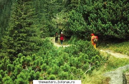 Suceava - Peisage Bucovina - Poze din orasul tau