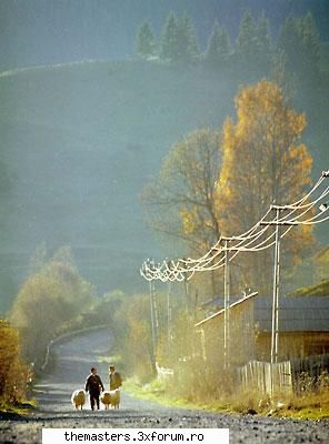 Suceava - uneva la "taranoaia" - Poze din orasul tau