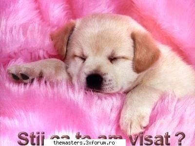 [-=TheMasters=-]dolce - sweet sweet dolce :) - Membri [-=TheMasters=-]